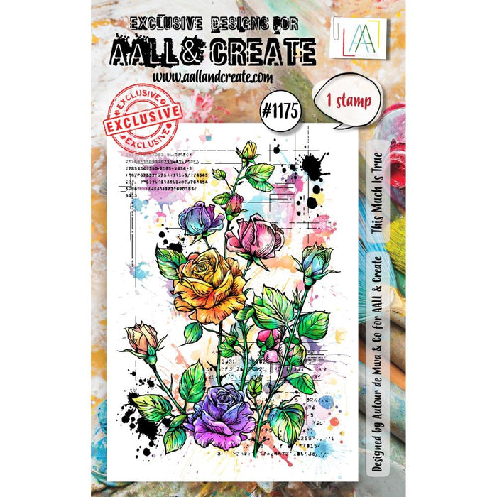 AALL And Create A7 Photopolymer Clear Stamp Set | This Much Is True