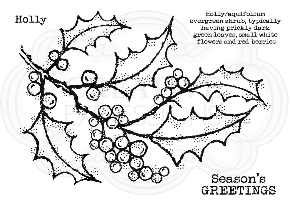 Ecstasy Crafts Distributing - Woodware Clear Singles Holly Spray 4 in x 6 in Stamp