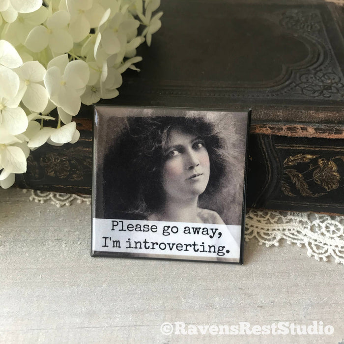 Raven's Rest Studio - Please Go Away, I'm Introverting. Fridge Magnet. 317