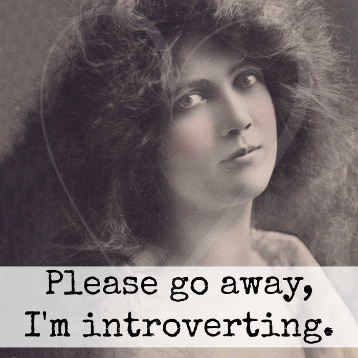 Raven's Rest Studio - Please Go Away, I'm Introverting. Fridge Magnet. 317